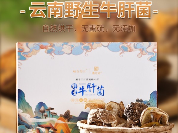 怒江農特產品野生牛肝菌直供 怒江農特產品野生牛肝菌直供