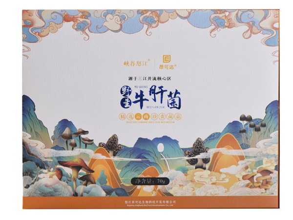 怒江農特產品野生牛肝菌直供 怒江農特產品野生牛肝菌直供