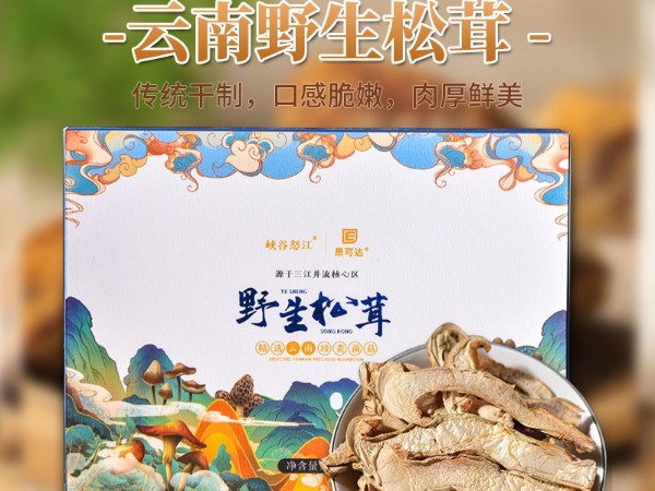 怒江農(nóng)特產(chǎn)品野生松茸直供 怒江農(nóng)特產(chǎn)品野生松茸直供