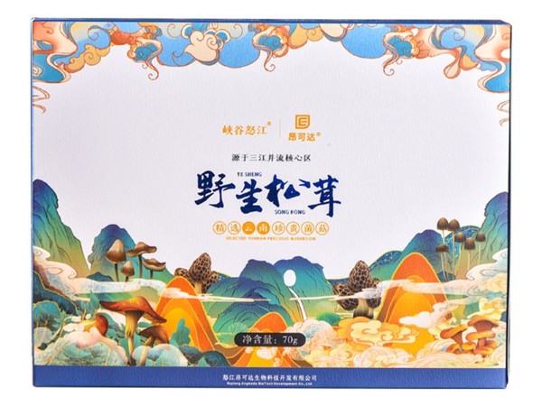 怒江農(nóng)特產(chǎn)品野生松茸直供 怒江農(nóng)特產(chǎn)品野生松茸直供