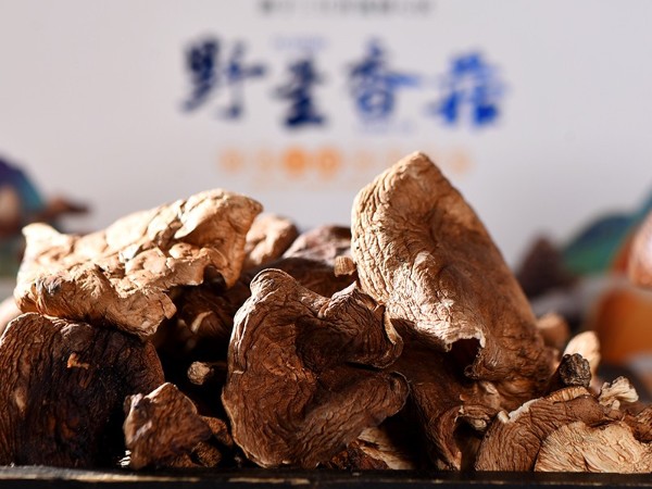 怒江農(nóng)特產(chǎn)品野生香菇直供 怒江農(nóng)特產(chǎn)品野生香菇直供