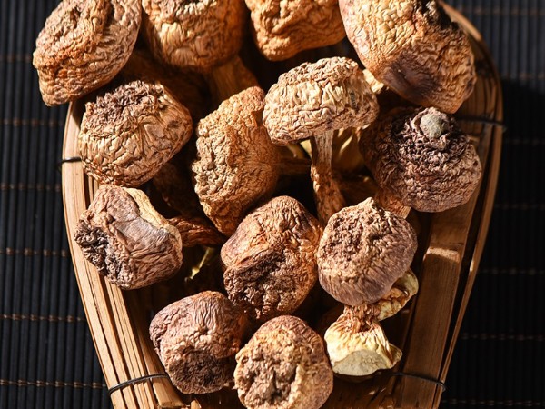 怒江農(nóng)特產(chǎn)品姬松茸直供 怒江農(nóng)特產(chǎn)品姬松茸直供