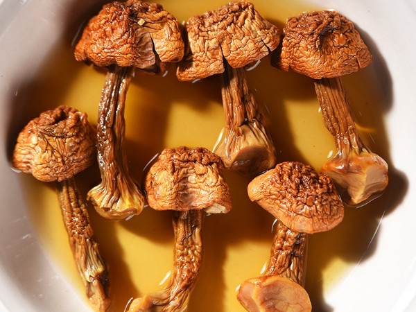 怒江農(nóng)特產(chǎn)品姬松茸直供 怒江農(nóng)特產(chǎn)品姬松茸直供